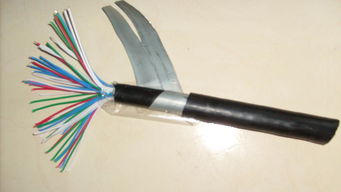 ptya23 ptya22 pty23 pty22 ptyah23鐵路信號電纜 ptya23 ptya22 pty23 pty22 ptyah23